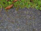 image of grave number 628962